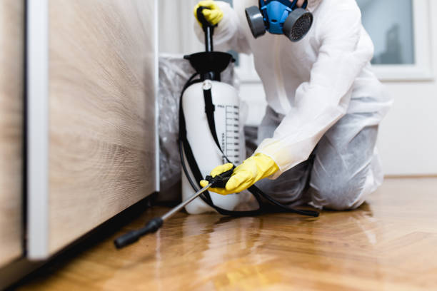 Best Residential Pest Control  in Glen Carbon, IL