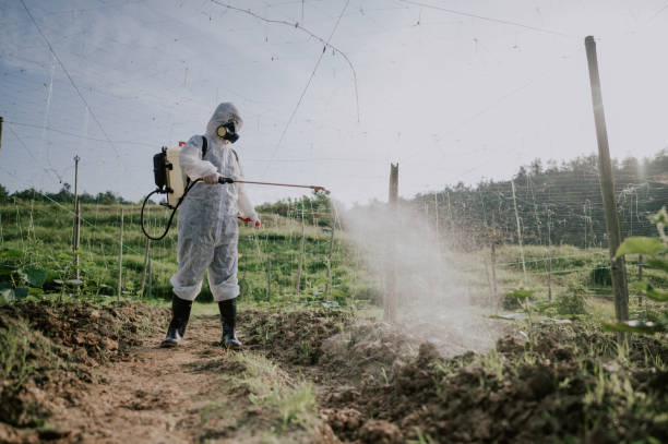 Best Ant Control Services  in Glen Carbon, IL