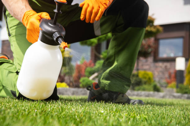 Best Commercial Pest Control Services  in Glen Carbon, IL