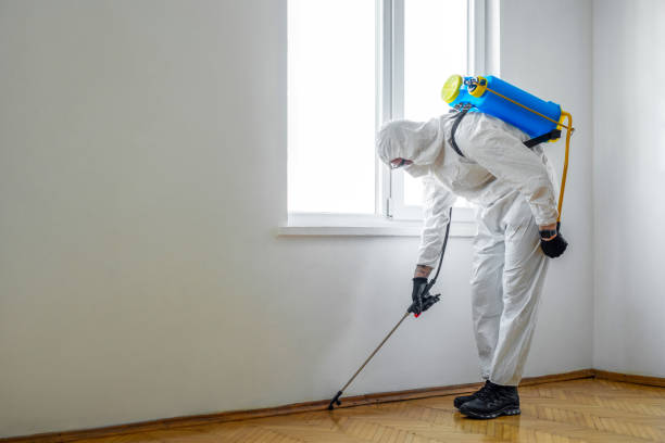 Best Local Pest Control Services  in Glen Carbon, IL