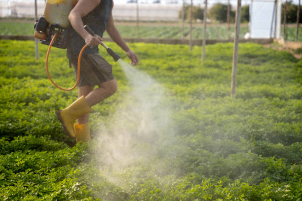Best Wildlife Control Services  in Glen Carbon, IL