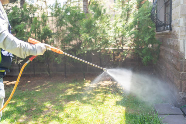 Best Affordable Pest Control Services  in Glen Carbon, IL