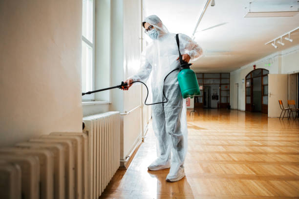 Best Wasp Removal Services  in Glen Carbon, IL