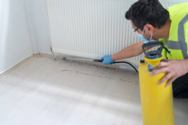 Best Best Pest Control Companies  in Glen Carbon, IL