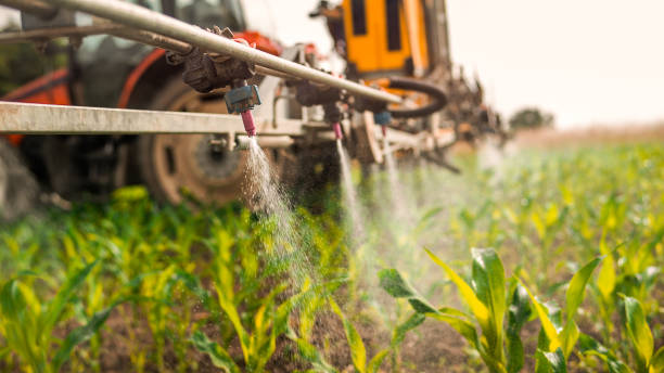 Best Pest Control Near Me  in Glen Carbon, IL